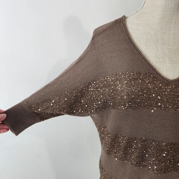 Express Sweater Womens Small Brown Striped Sequins Lightweight Pullover V Neck - Picture 3 of 13